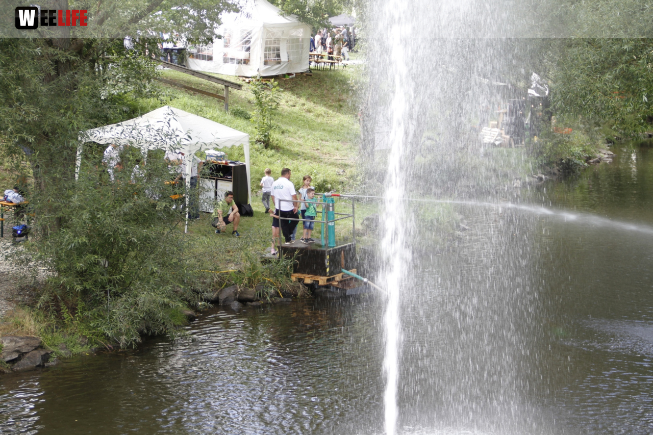 Saaleauenfest mit Memory Pain 2019