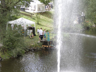 Foto 233411 im Album
