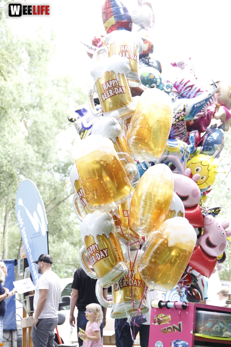 Saaleauenfest mit Memory Pain 2019