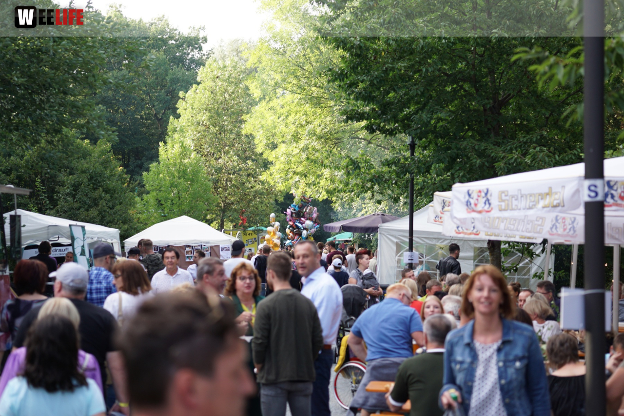 Saaleauenfest mit Memory Pain 2019