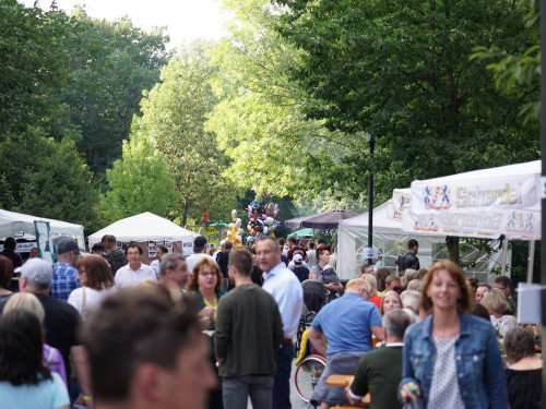 Saaleauenfest mit Memory Pain 2019 – Foto 13