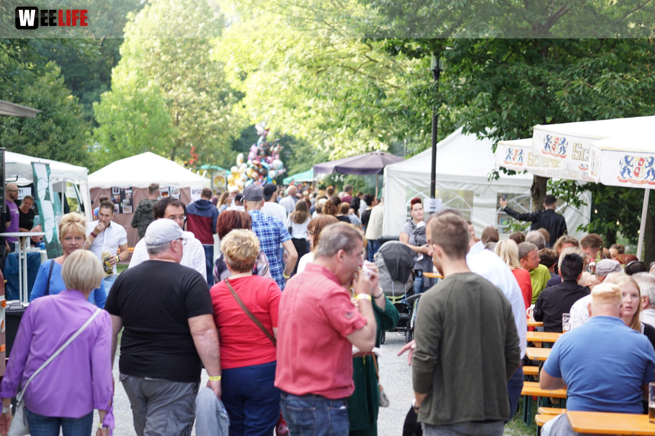 Saaleauenfest mit Memory Pain 2019