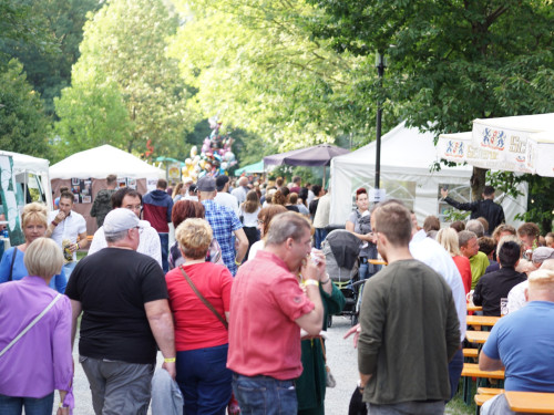 Saaleauenfest mit Memory Pain 2019 – Foto 14
