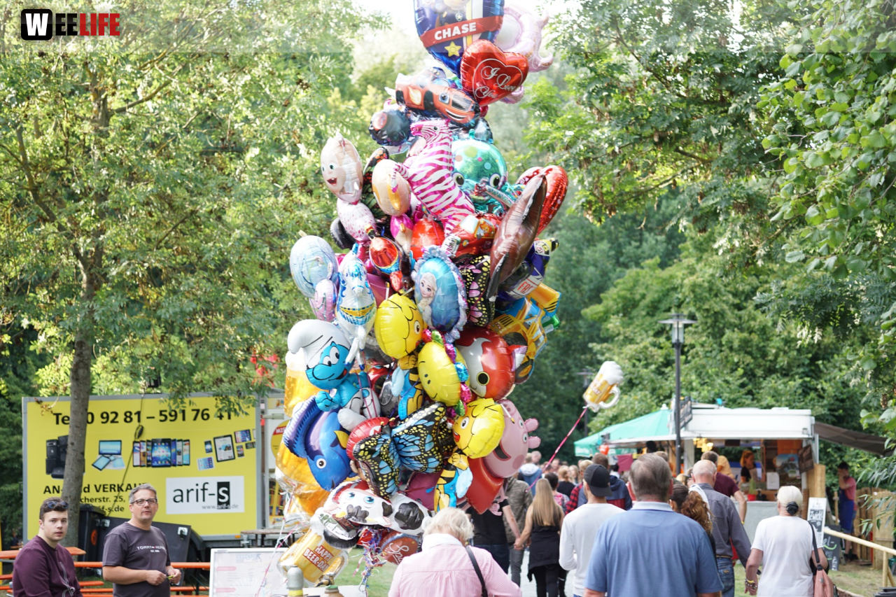 Saaleauenfest mit Memory Pain 2019