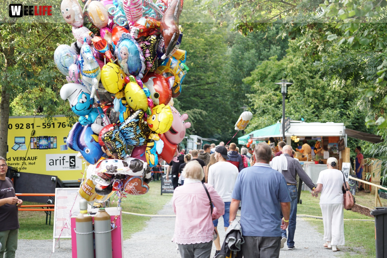 Saaleauenfest mit Memory Pain 2019