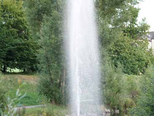 Saaleauenfest mit Memory Pain 2019 – Foto 24
