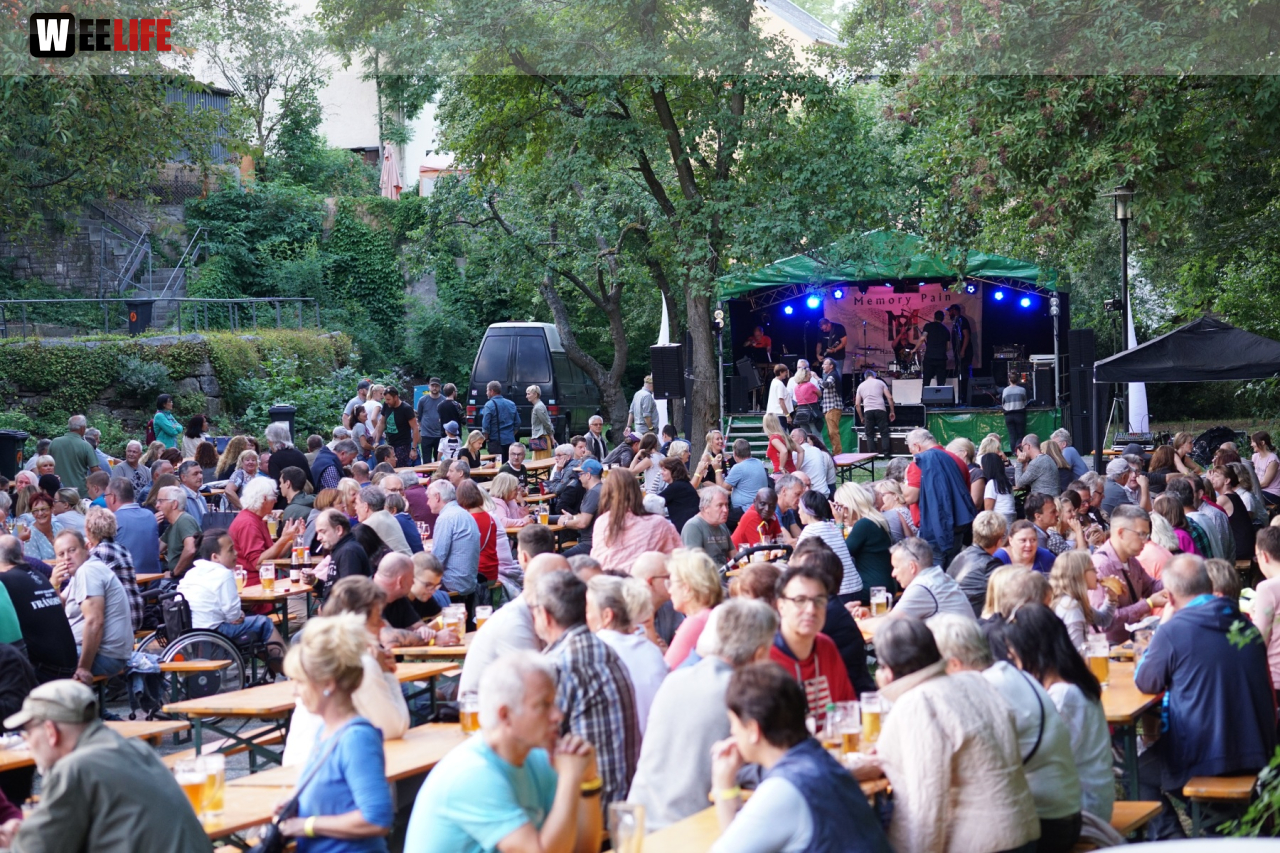 Saaleauenfest mit Memory Pain 2019