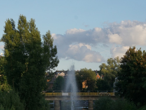 Saaleauenfest mit Memory Pain 2019 – Foto 33