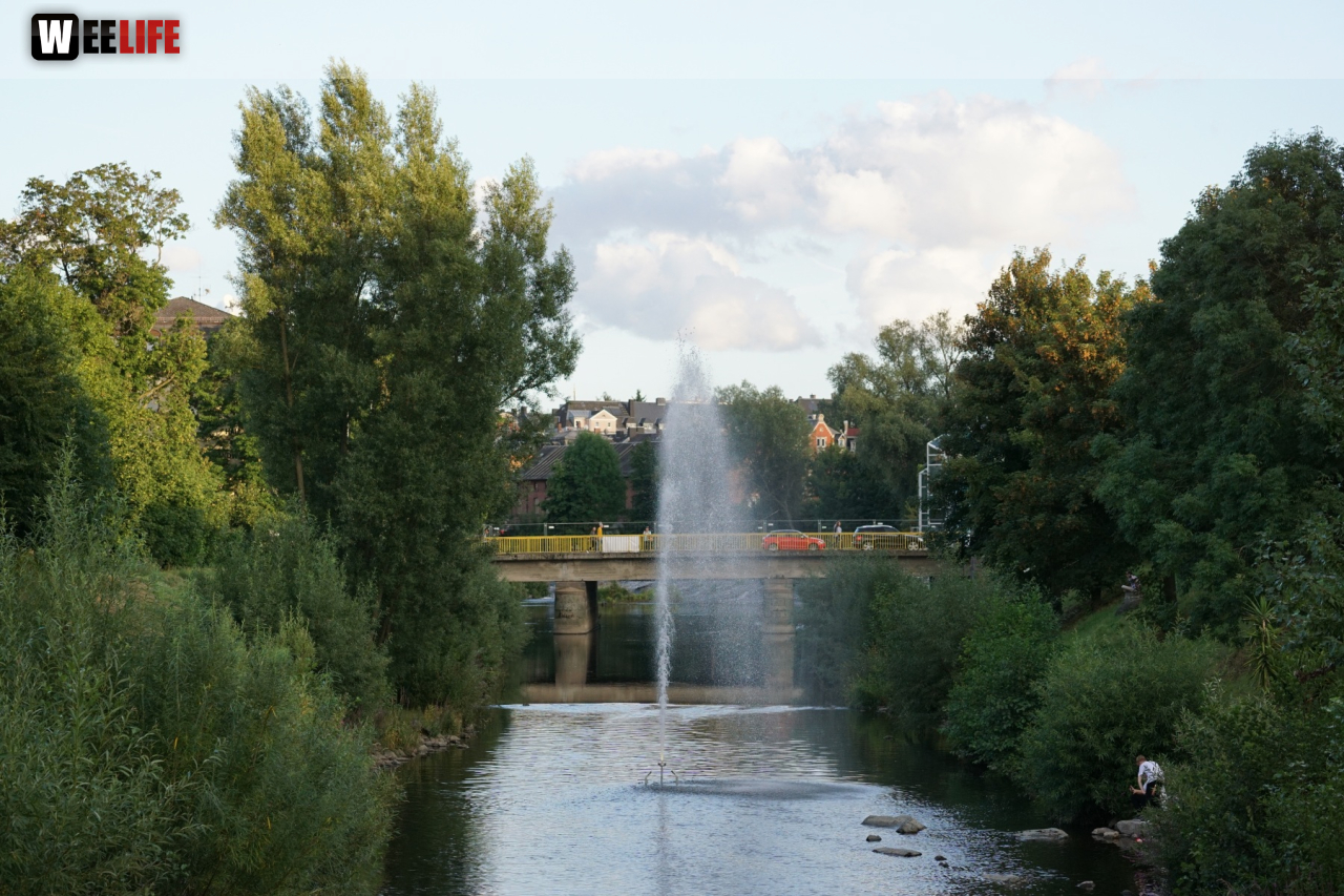 Saaleauenfest mit Memory Pain 2019