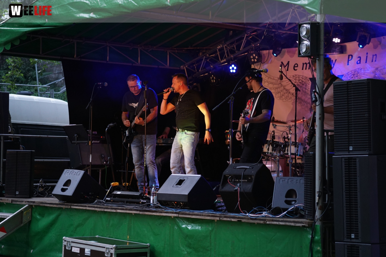 Saaleauenfest mit Memory Pain 2019
