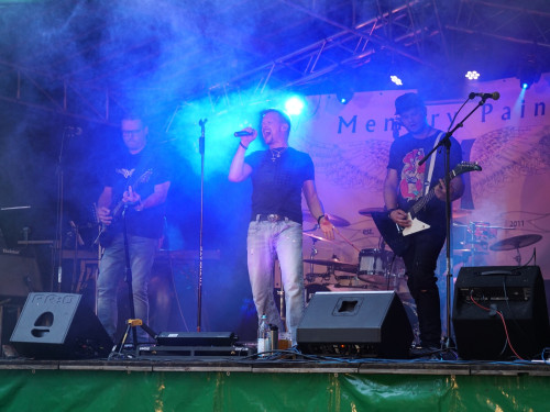 Saaleauenfest mit Memory Pain 2019 – Foto 40