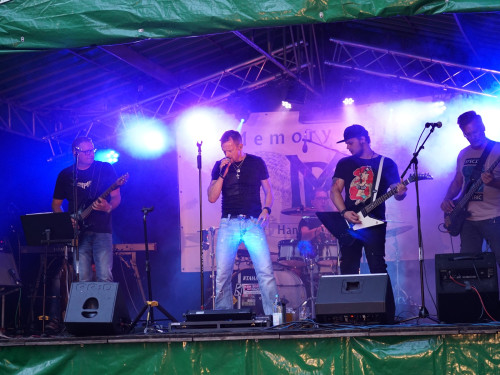 Saaleauenfest mit Memory Pain 2019 – Foto 42