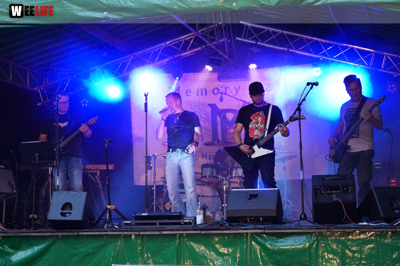 Saaleauenfest mit Memory Pain 2019