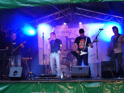 Saaleauenfest mit Memory Pain 2019 – Foto 43