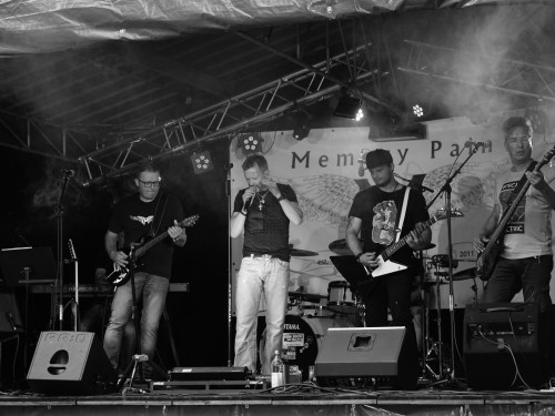 Saaleauenfest mit Memory Pain 2019 – Foto 58
