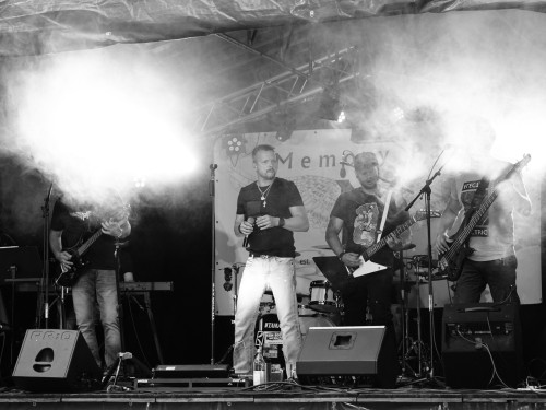 Saaleauenfest mit Memory Pain 2019 – Foto 60