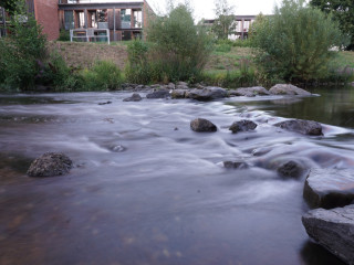 Foto 233471 im Album