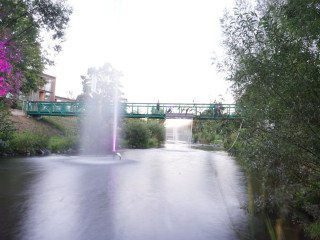 Foto 233472 im Album