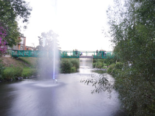 Foto 233473 im Album