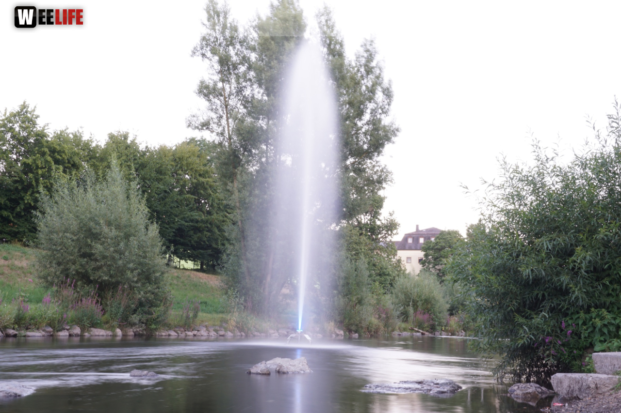 Saaleauenfest mit Memory Pain 2019