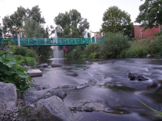 Foto 233477 im Album