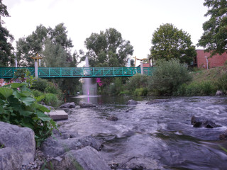 Foto 233478 im Album