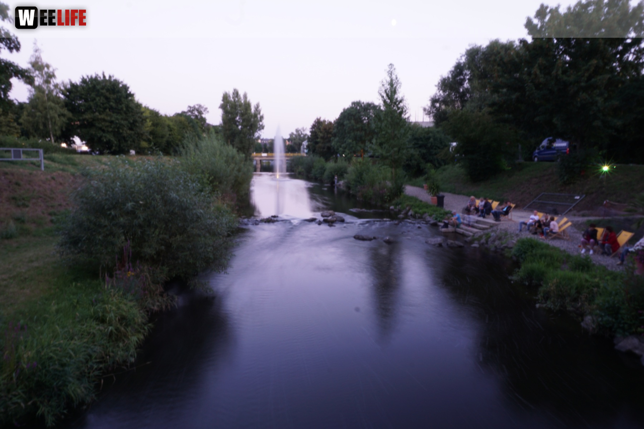 Saaleauenfest mit Memory Pain 2019