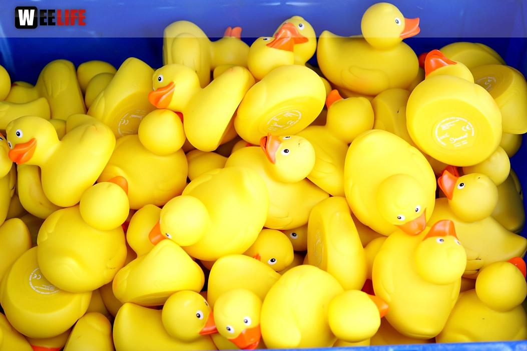 Sommer Pool Party Freibad Hof