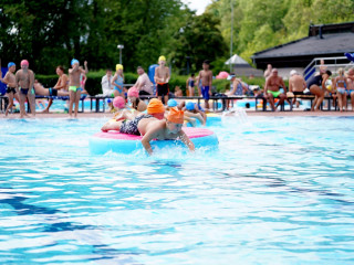 Foto 233556 im Album