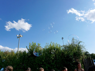 Foto 233621 im Album