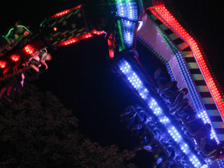 Foto 23369 im Album