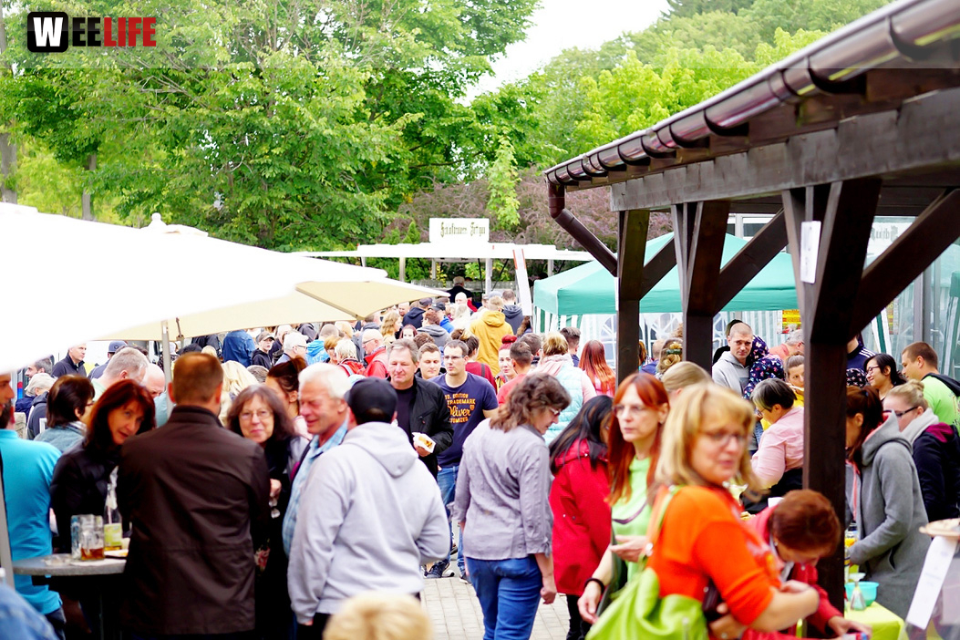 8. Hofer Chillifest 2019