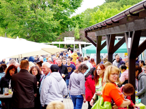8. Hofer Chillifest 2019 – Foto 59