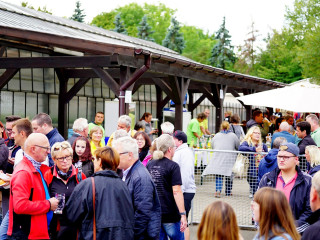 Foto 233837 im Album