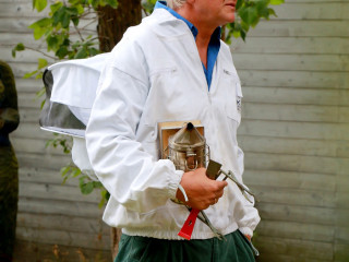 Foto 233865 im Album