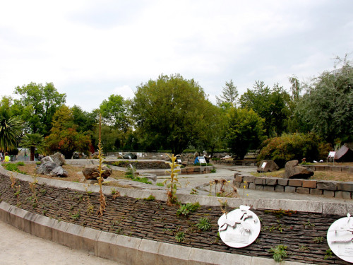 65 Jahre Hofer Zoo – Foto 15