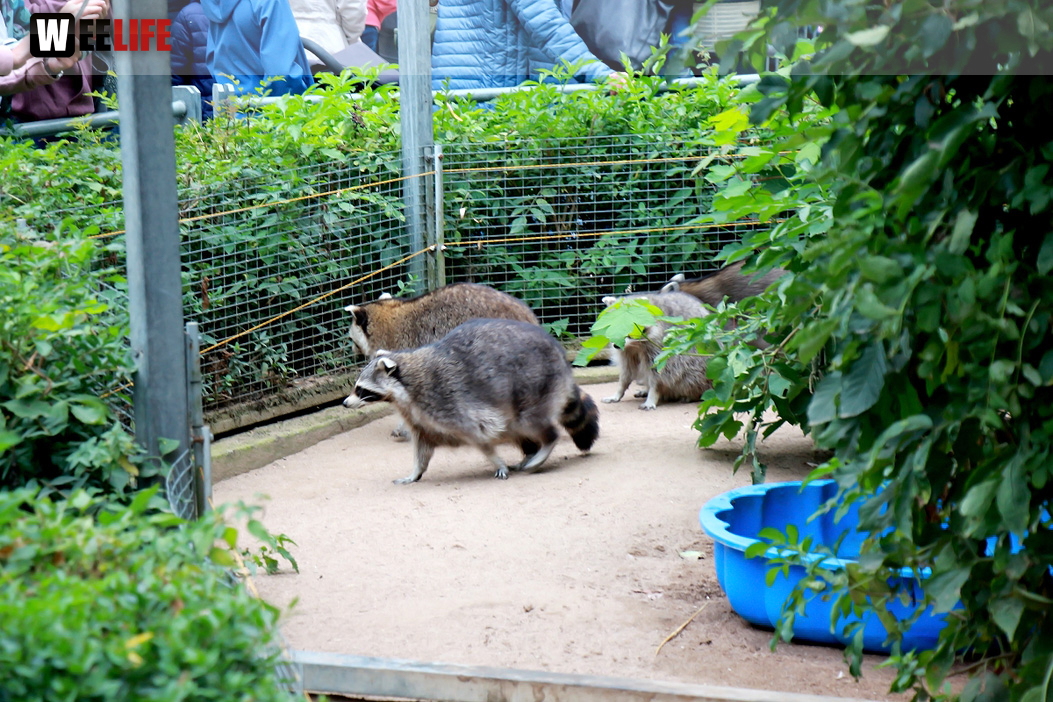 65 Jahre Hofer Zoo