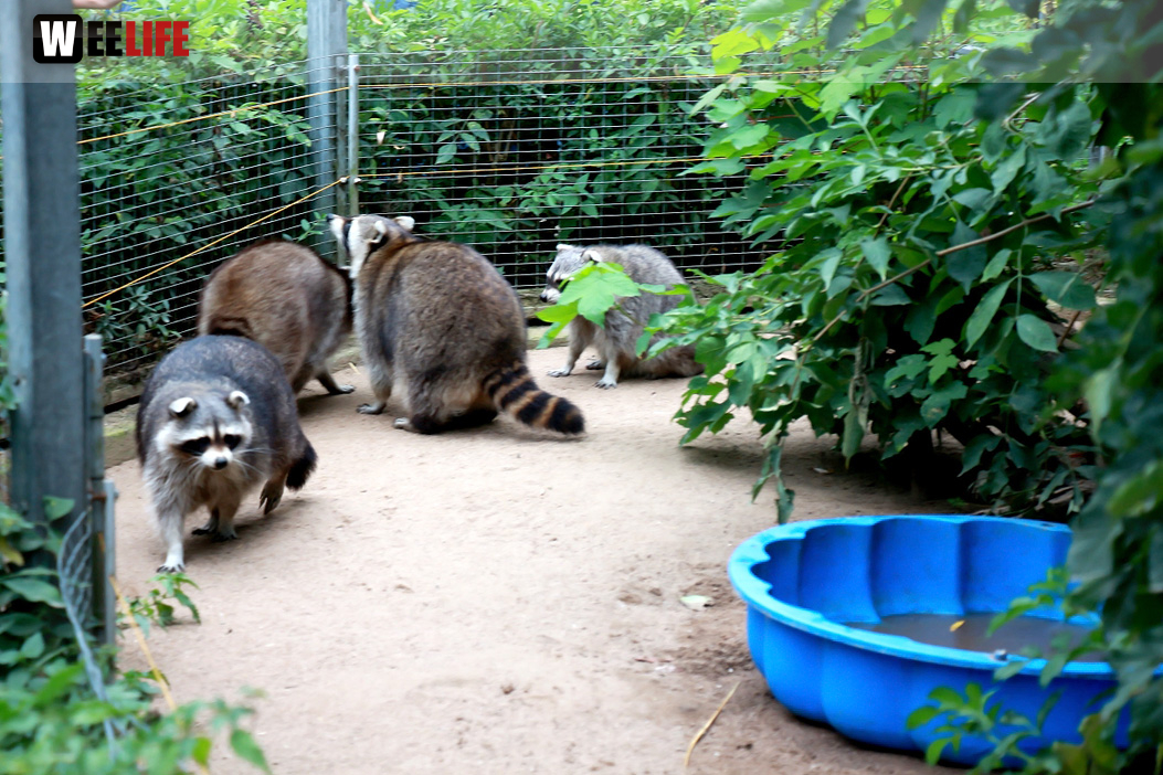 65 Jahre Hofer Zoo