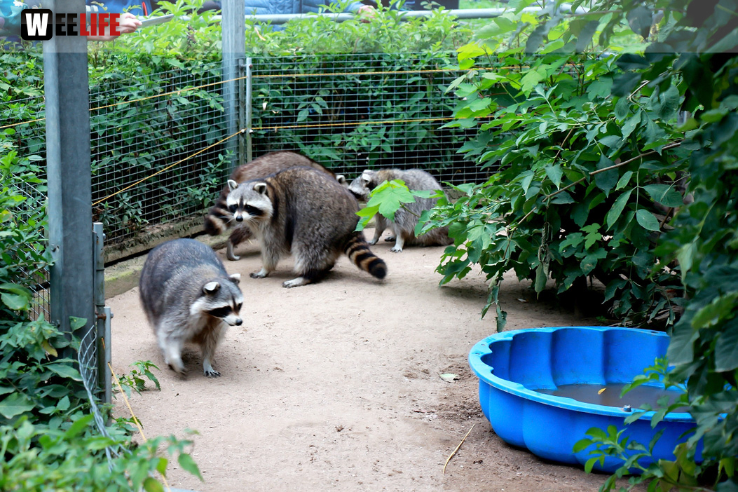 65 Jahre Hofer Zoo