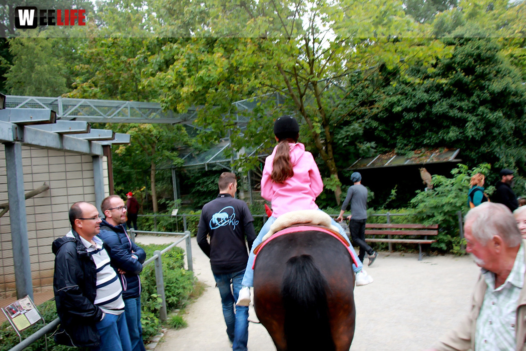 65 Jahre Hofer Zoo