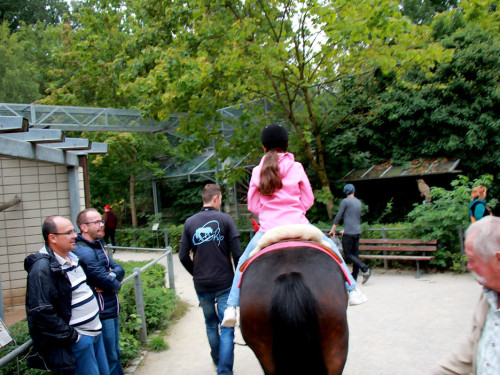 65 Jahre Hofer Zoo – Foto 23