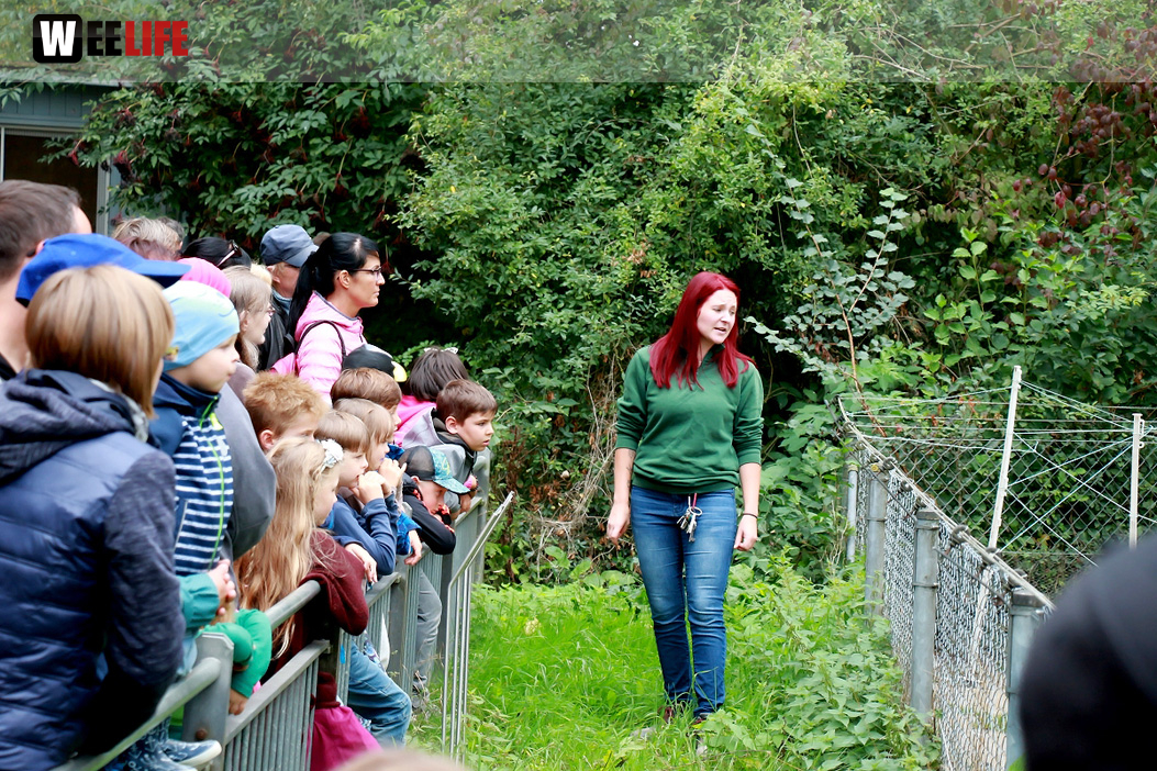 65 Jahre Hofer Zoo