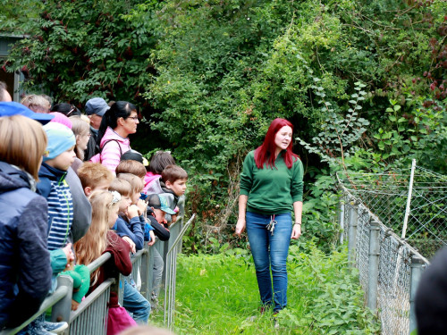 65 Jahre Hofer Zoo – Foto 24