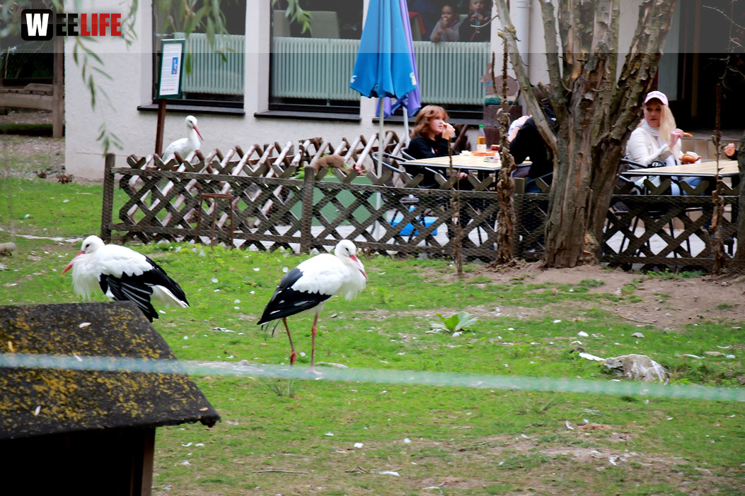 65 Jahre Hofer Zoo