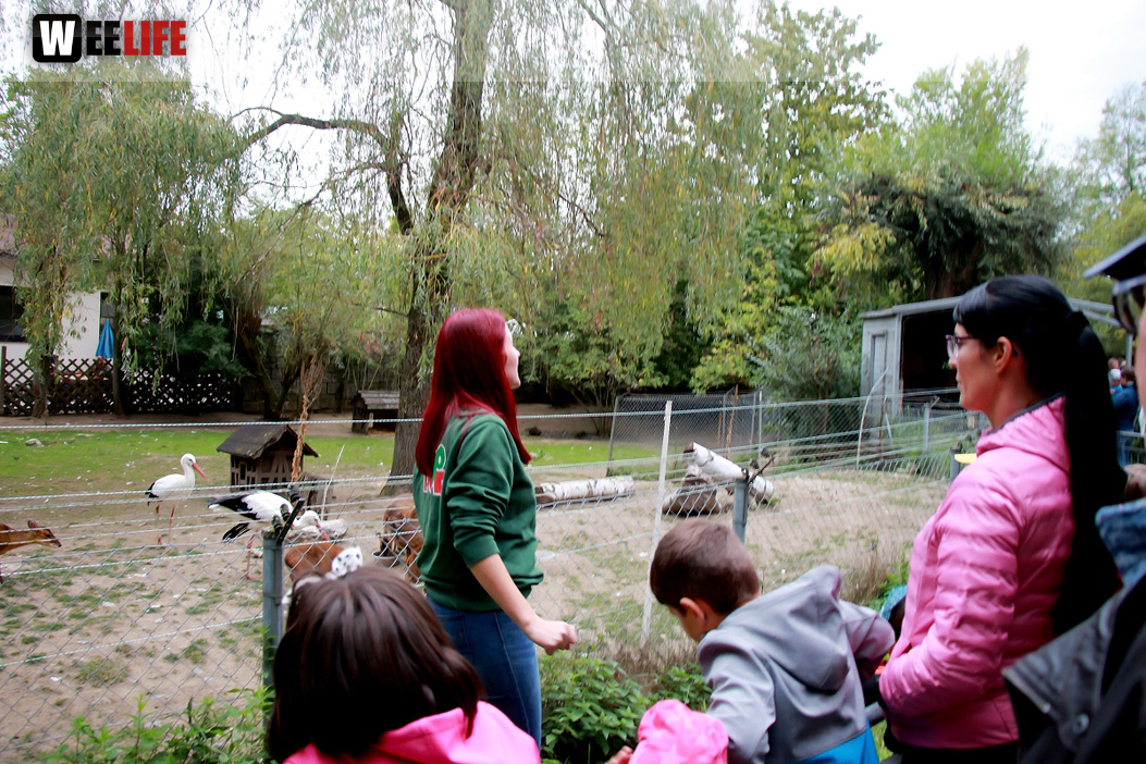 65 Jahre Hofer Zoo