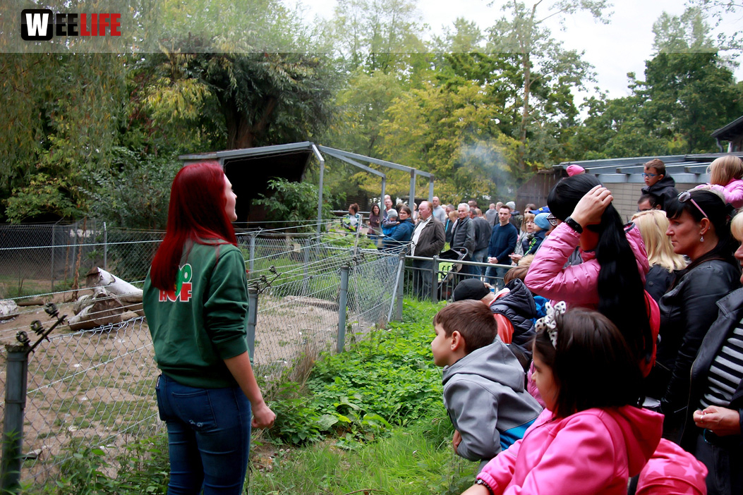 65 Jahre Hofer Zoo