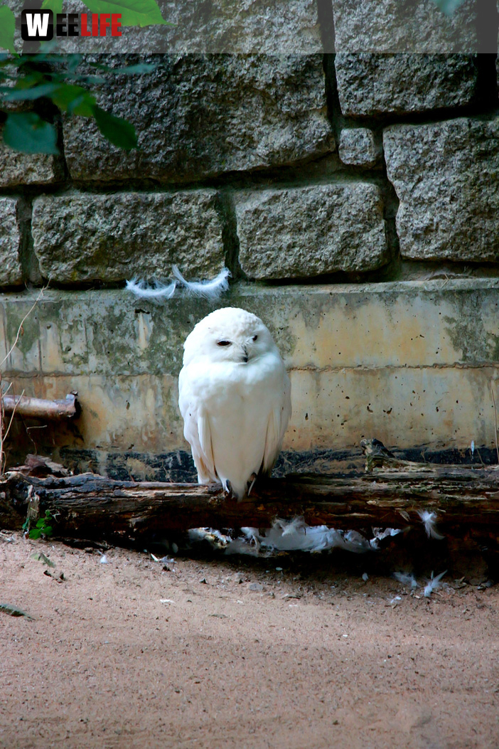 65 Jahre Hofer Zoo