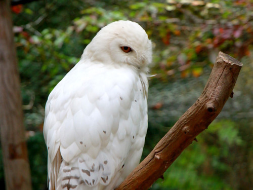 65 Jahre Hofer Zoo – Foto 56