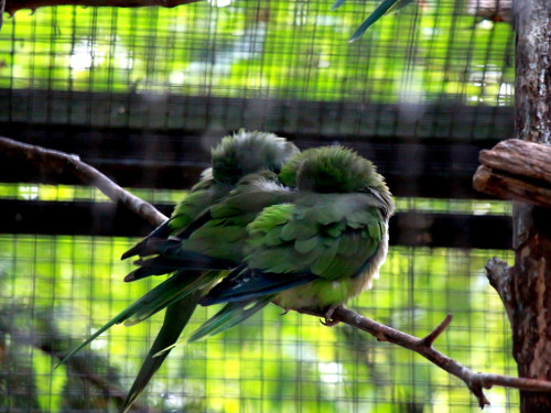 65 Jahre Hofer Zoo – Foto 58