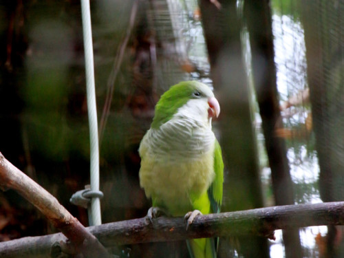65 Jahre Hofer Zoo – Foto 62